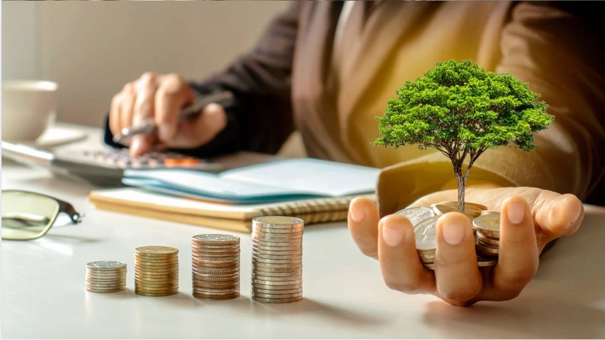 Captive Insurance Solutions
